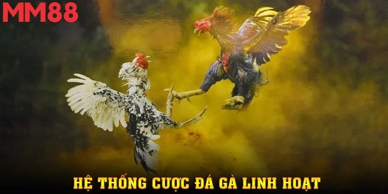 Giao diện đá gà tại MM88 hiển thị rõ ràng, dễ thao tác