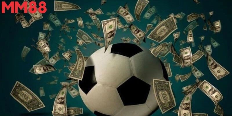 Người chơi chuyên nghiệp theo dõi tỷ lệ trực tuyến